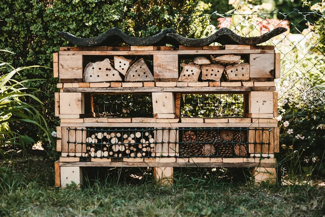 How to Build the Frame: Step by Step (Image Credits: Unsplash)