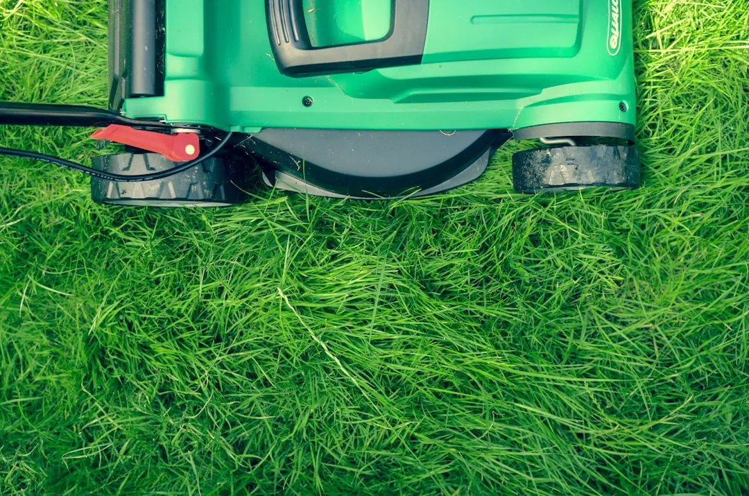 Mowing Too Short Is Making Things Worse (Image Credits: Unsplash)