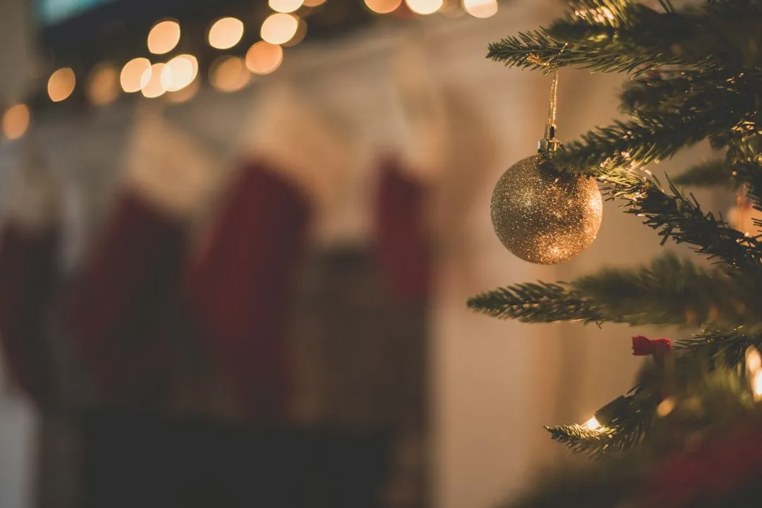The Holiday Decoration Effect: A Surprising Measure of Community (Image Credits: Unsplash)