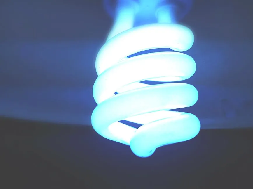3. Bright or Blue-White Light Sources (Image Credits: Pexels)