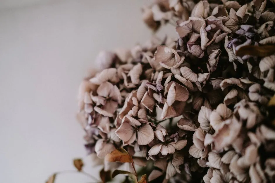 Wrong Location, Wrong Plant (Image Credits: Pexels)