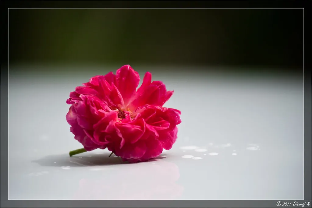 How Much Water Per Session Actually Matters (kdinuraj, Flickr, CC BY 2.0)