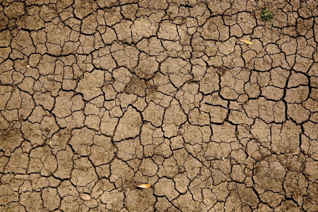 1. Your Soil Cracks and Hardens in Dry Weather (Image Credits: Unsplash)