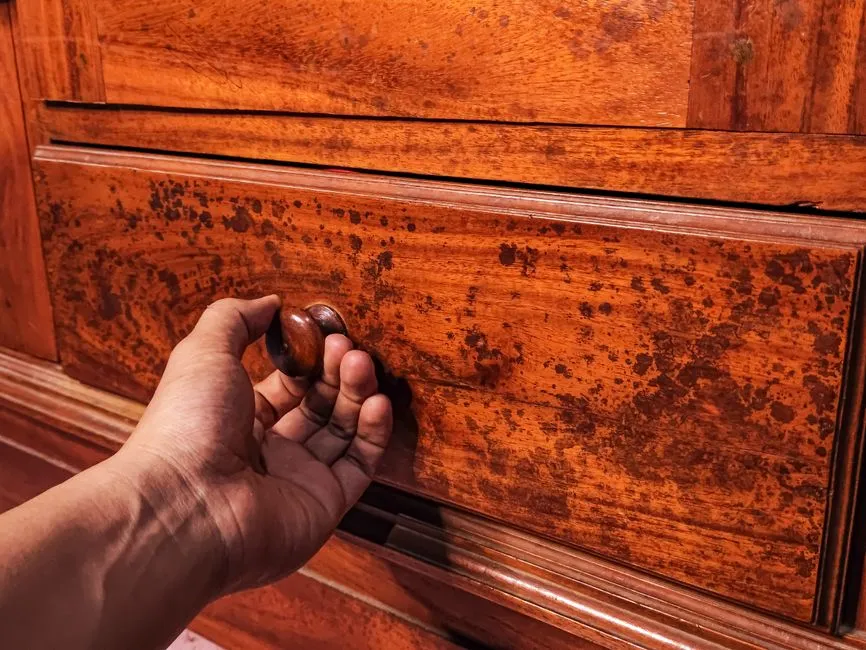 The Patina Problem: What You Think Is Damage Is Actually Value (Image Credits: Pexels)