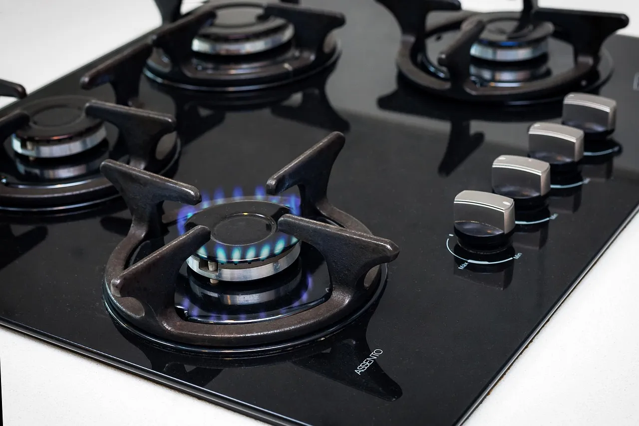 Leaving the Stove Unattended - The Single Biggest Trigger (Image Credits: Pixabay)