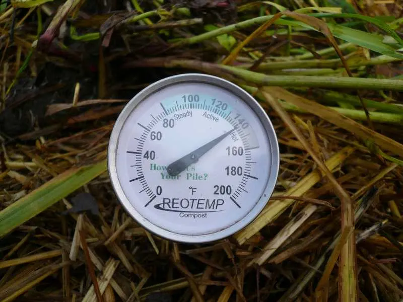How the Ratio Affects Temperature and Speed (nancybeetoo, Flickr, CC BY 2.0)