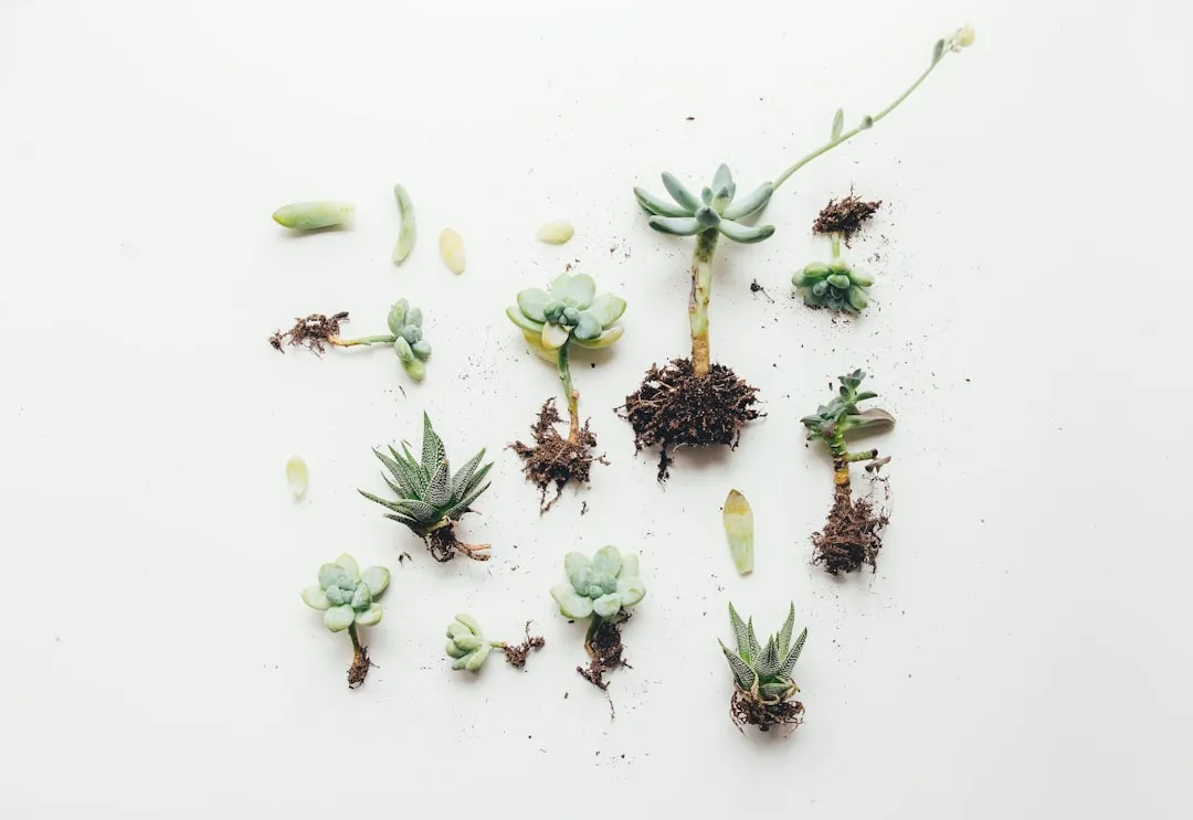 You Tend to Be Comfortable With Uncertainty (Image Credits: Unsplash)