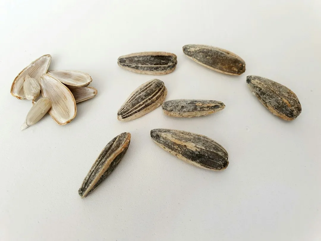 Thawing Seeds Correctly Is Just as Important as Freezing Them (Image Credits: Unsplash)