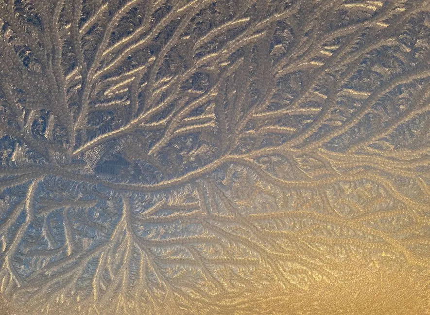 The Damage Frost Leaves Behind (Image Credits: Pexels)