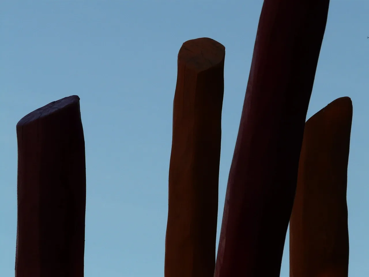 The Problem with Single-Stake Installation (Image Credits: Pixabay)