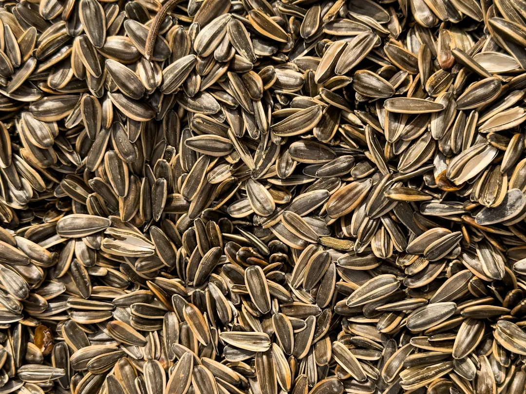 Magnesium-Rich Foods: Calming the Nervous System Before Bed (Image Credits: Unsplash)