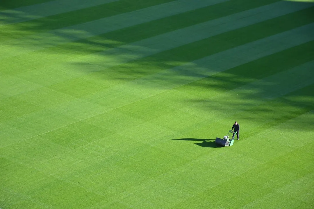 How to Start Without a Full Lawn Overhaul (Image Credits: Unsplash)