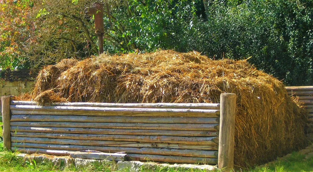 1. Applying More Than the Soil Actually Needs (Image Credits: Pixabay)