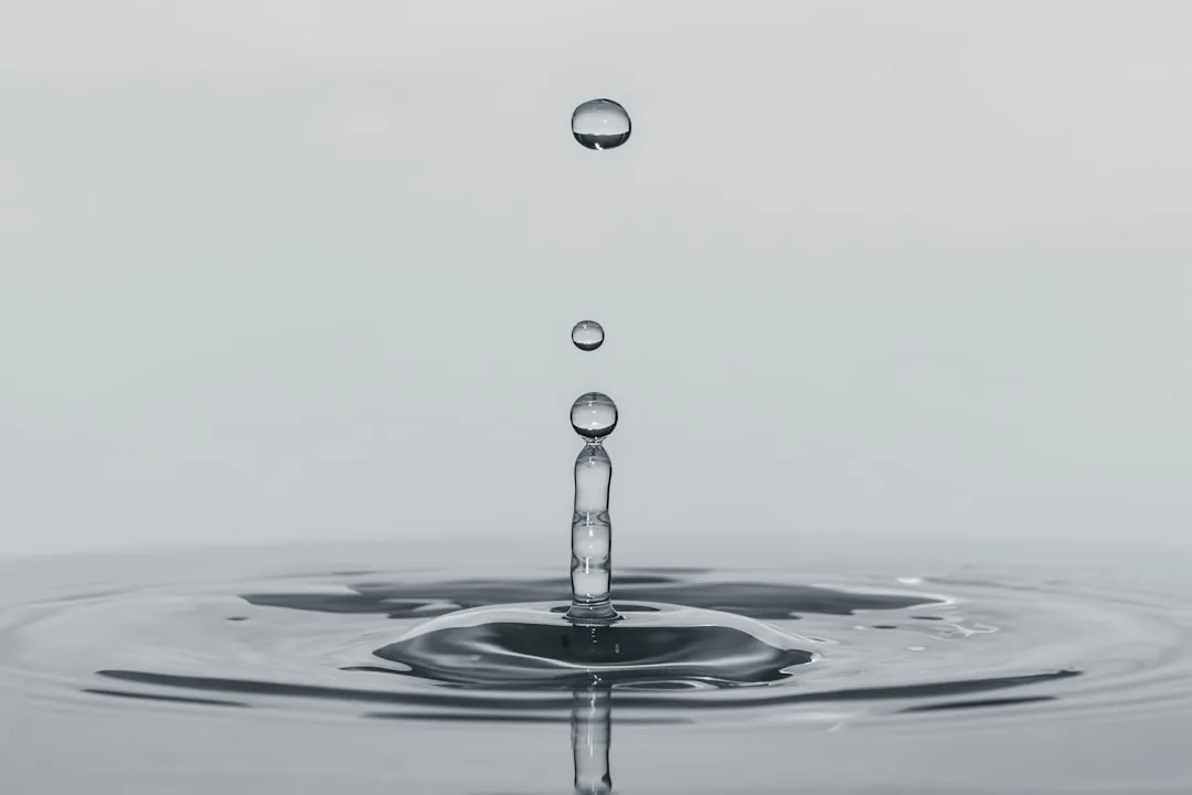 Practical Fixes: Smarter Watering Going Forward (Image Credits: Unsplash)