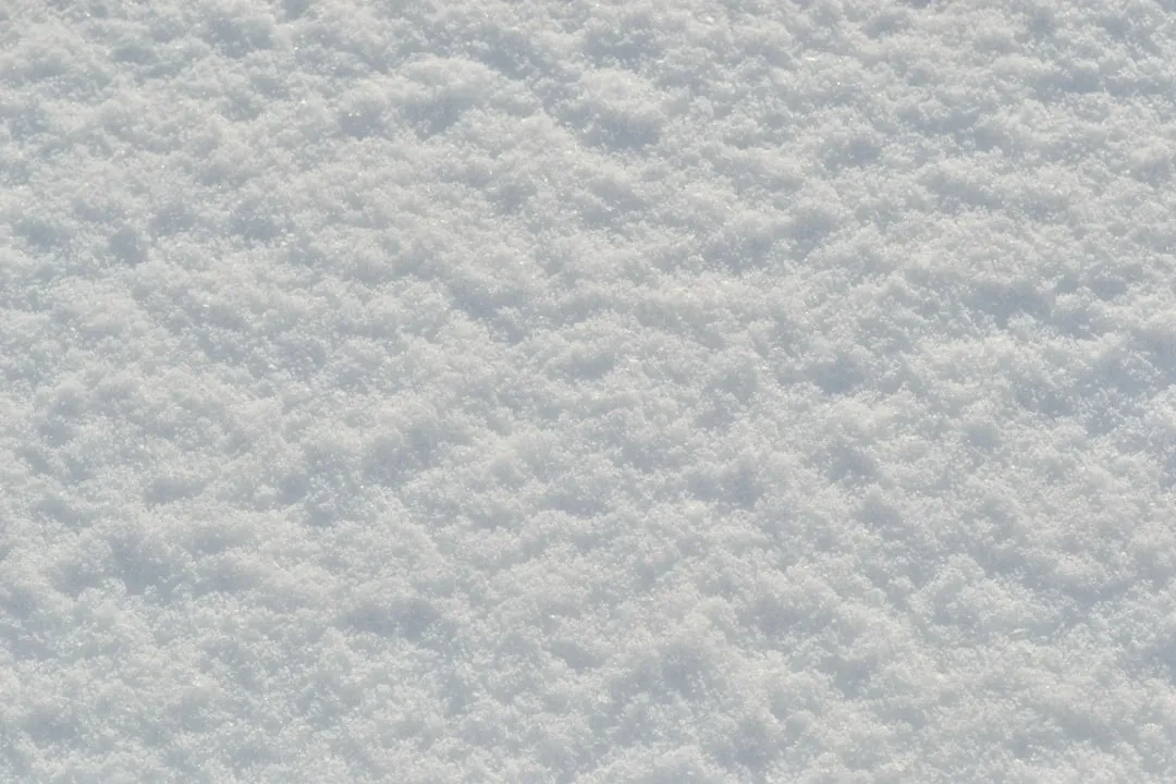 Snow Cover Changes Are Reshaping Soil Health (Image Credits: Unsplash)