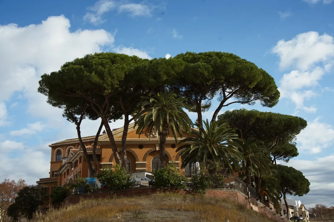 9. Italian Stone Pine (Pinus pinea): Architectural Shade That Lasts Centuries (Image Credits: Unsplash)