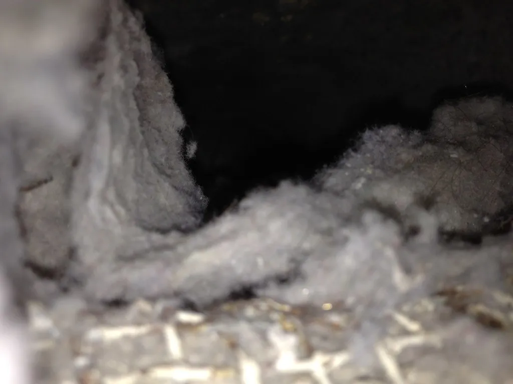 Ignoring Dryer Sheet Residue on the Lint Screen (carpe_diem_bh, Flickr, CC BY 2.0)