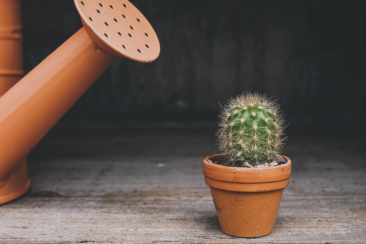 Cottagecore Aesthetics Are Driving Garden Antique Demand (Image Credits: Pixabay)