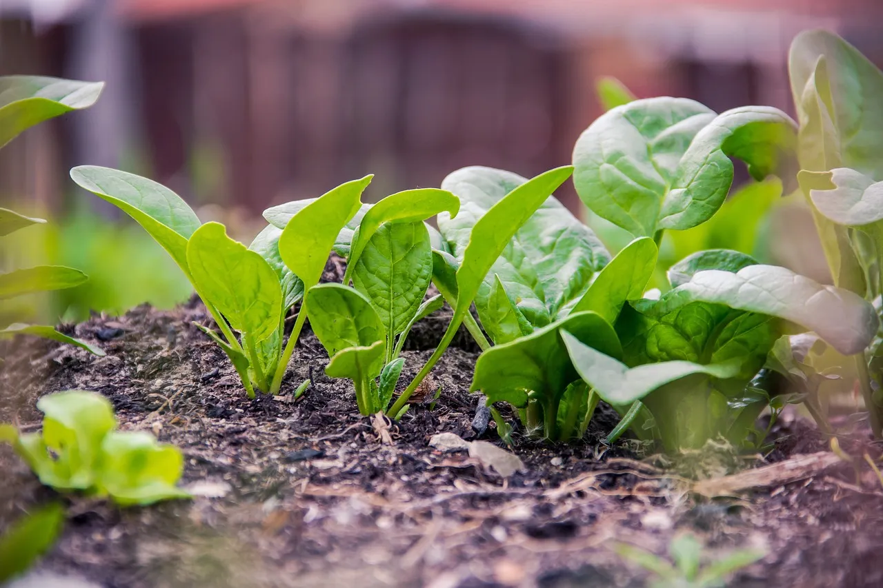 Soil Health: What the Science Shows (Image Credits: Pixabay)