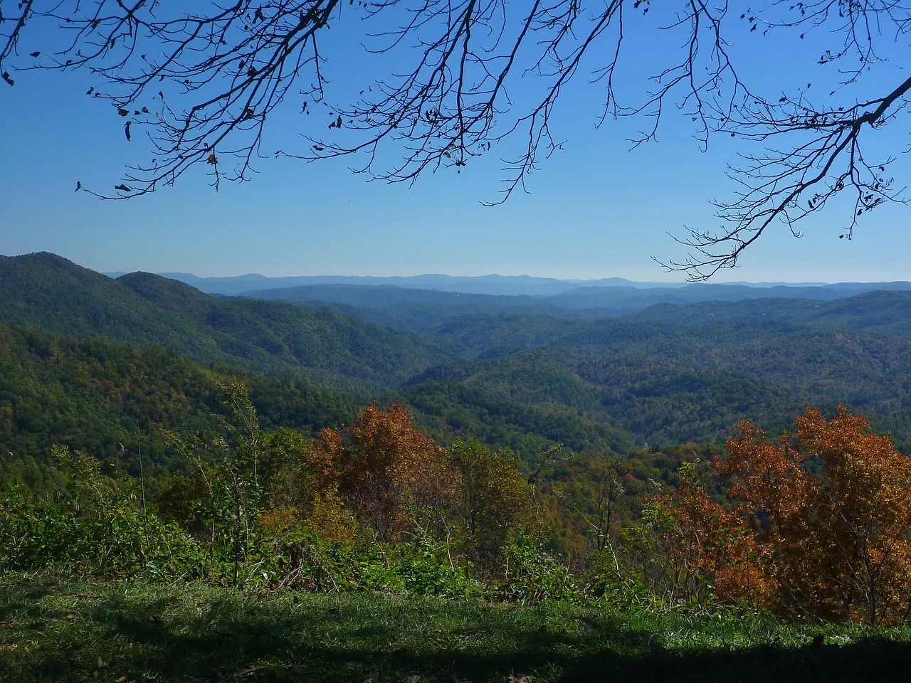 Blue Ridge Parkway Trails, North Carolina (Image Credits: Pixabay)