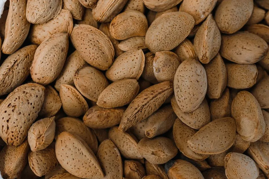 The Bigger Picture on Food and Energy (Image Credits: Pexels)