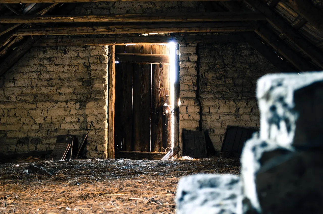 2. Droppings or Urine Stains in Hidden Corners (Image Credits: Pixabay)