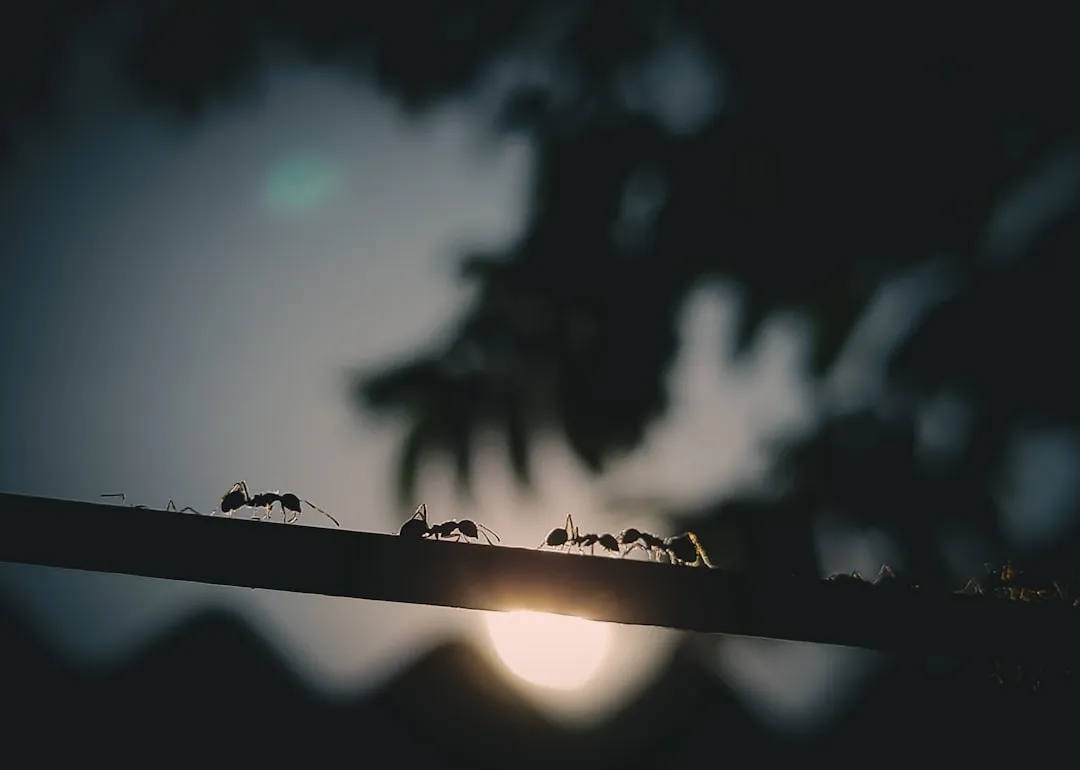 Biological Control: Using Nature's Checks and Balances (Image Credits: Unsplash)