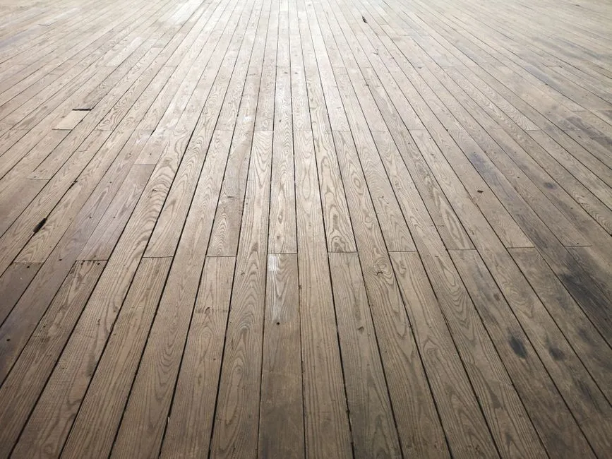 Finding The Squeak Before You Touch Anything (Image Credits: Pexels)