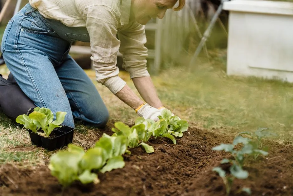 The Mental Health Angle: Staying in the Garden Longer (Image Credits: Pexels)
