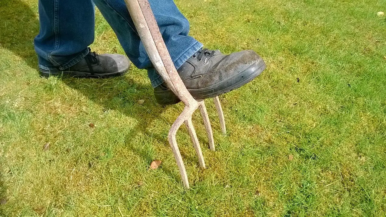 Aeration: Breaking Up Compaction to Let Water In (Image Credits: Pixabay)