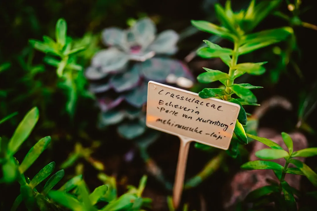 What the "Faded" Look Actually Means (Image Credits: Unsplash)