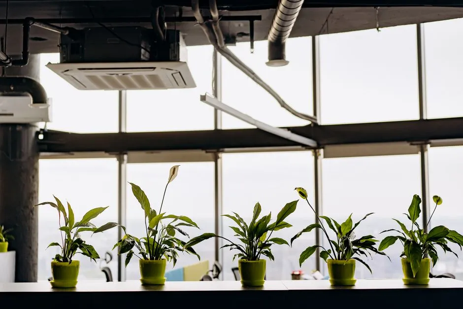 The Air Quality Connection (Image Credits: Pexels)