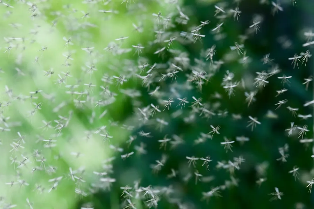 Eggs That Survived Months of Dry Weather, Waiting for Your Rain (Image Credits: Unsplash)