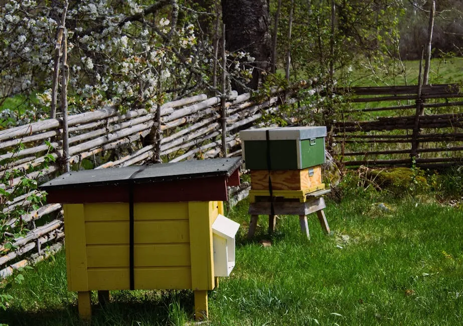 Why Your Fence Line Matters More Than You Think (Image Credits: Pexels)