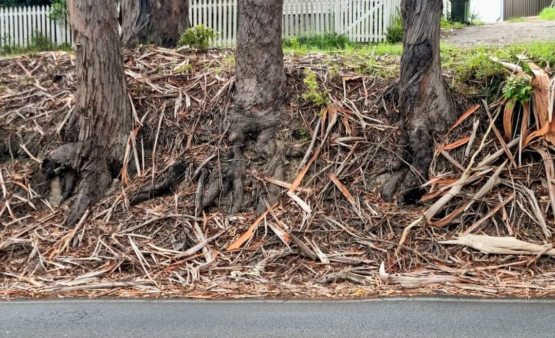 The Compaction Problem Nobody Talks About (Image Credits: Unsplash)