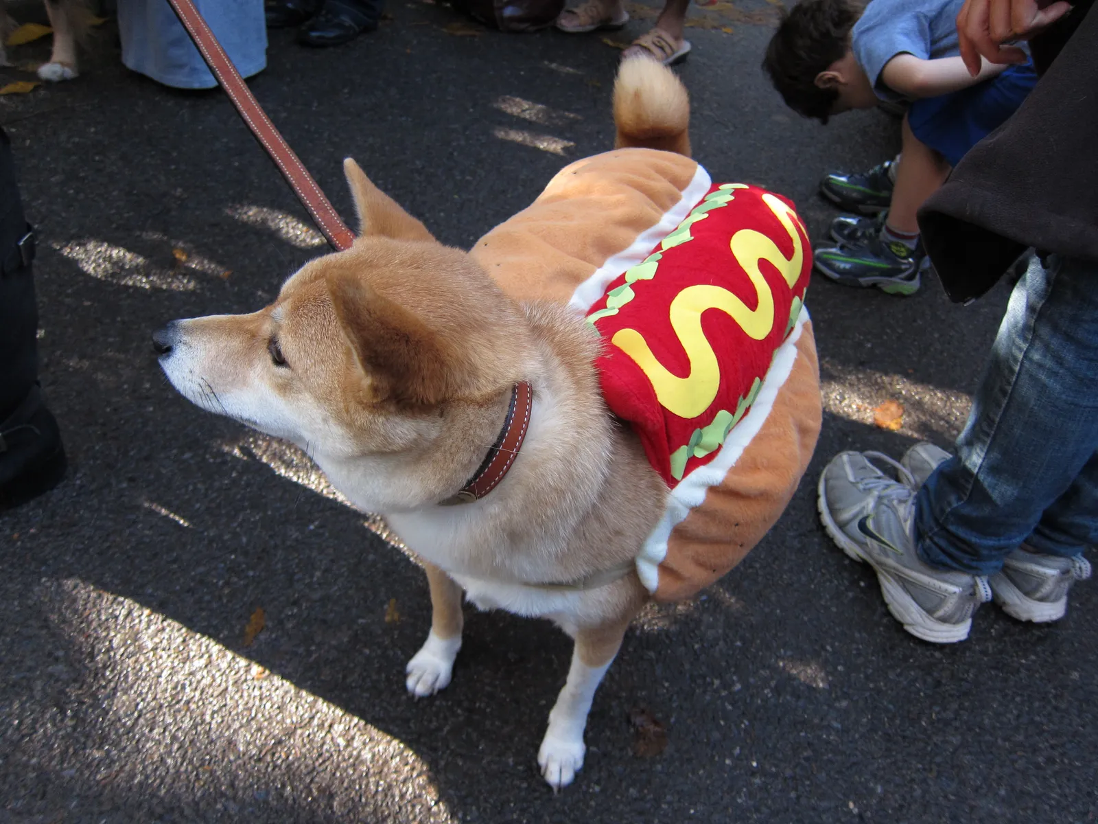 8. The Loofah (Hotdog dog costume, CC BY 2.0)