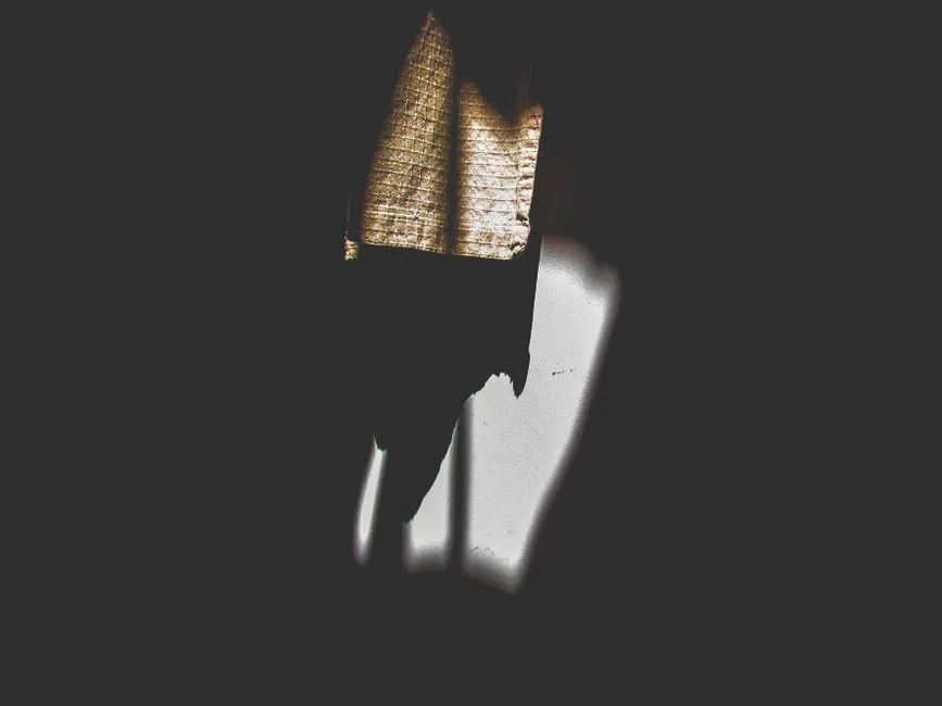4. A Shadow or Curtain Drifting Across Your Visual Field (Image Credits: Pexels)