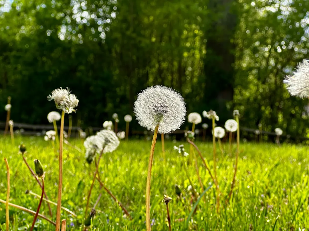 Invasive Pests and Weeds Are Following the Warmth (Image Credits: Unsplash)