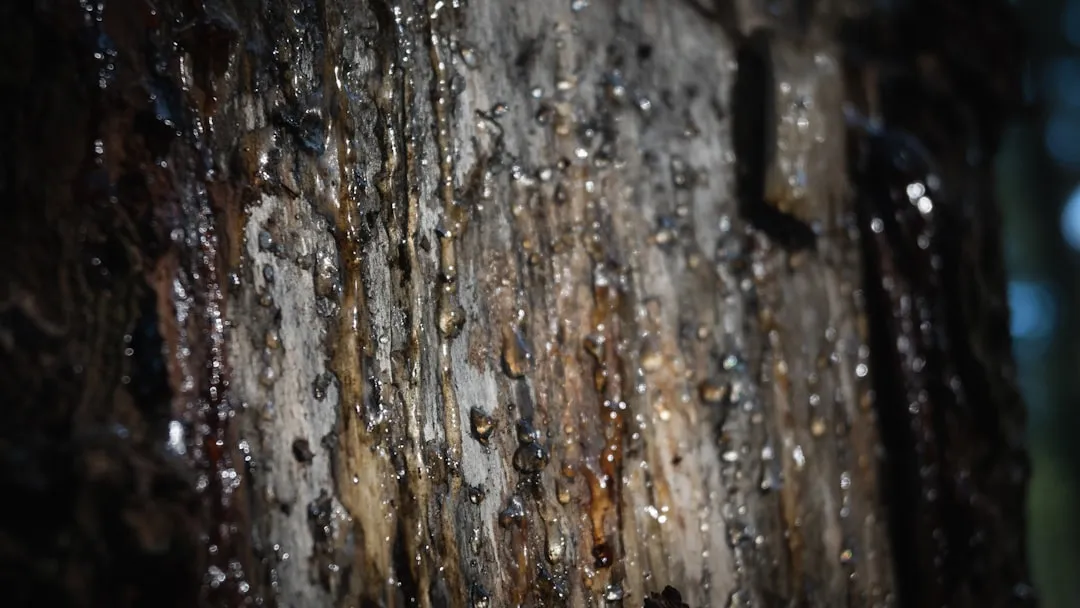 Storm Wounds Open the Floodgates (Image Credits: Unsplash)