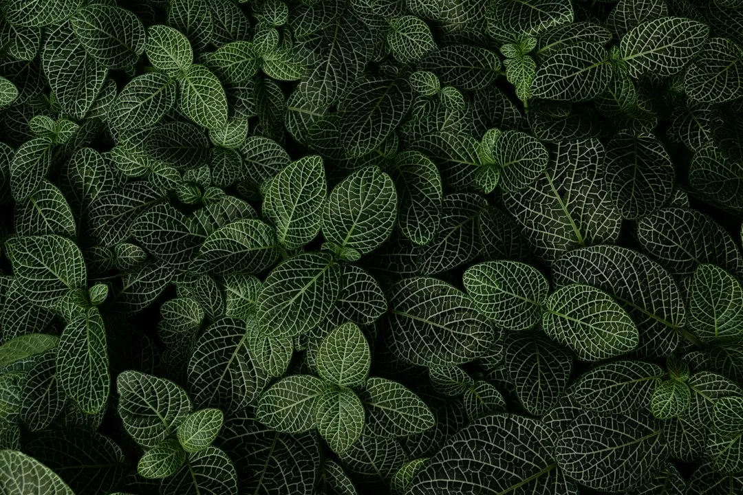 The Nutrient Recycling Strategy (Image Credits: Unsplash)