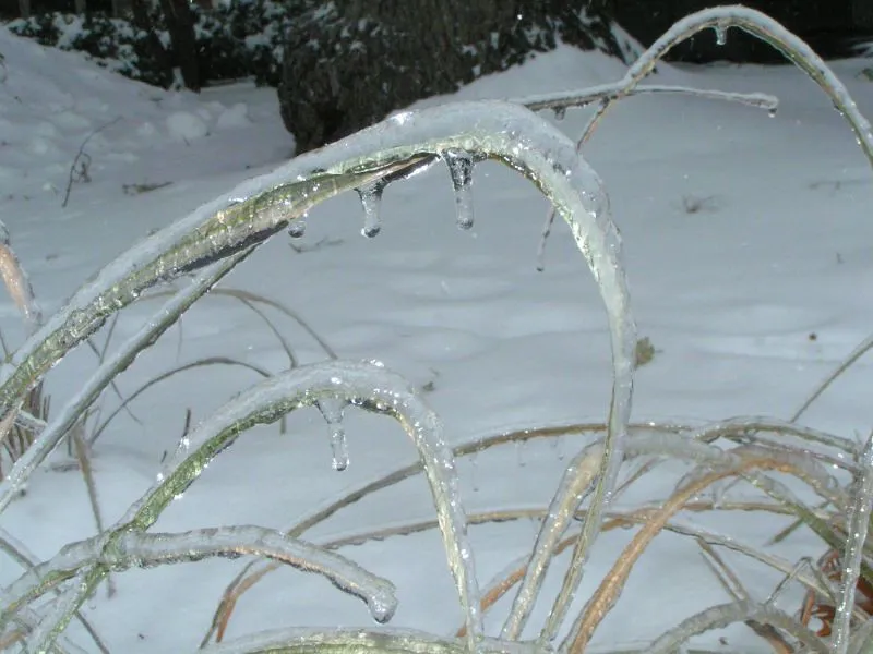 Conclusion: A Living Landscape That Works Through the Coldest Months (captain of a small boat, Flickr, CC BY 2.0)