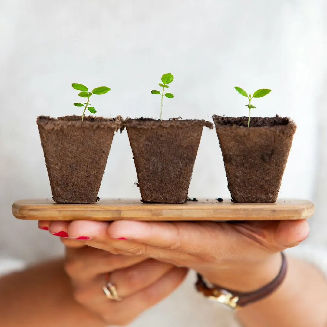What Actually Happens at a Seed Swap (Image Credits: Unsplash)