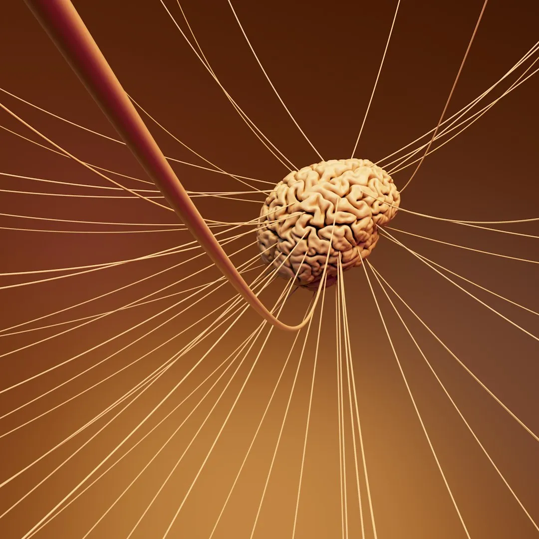 The Vagus Nerve and the Phrenic Nerve Play Key Roles (Image Credits: Unsplash)