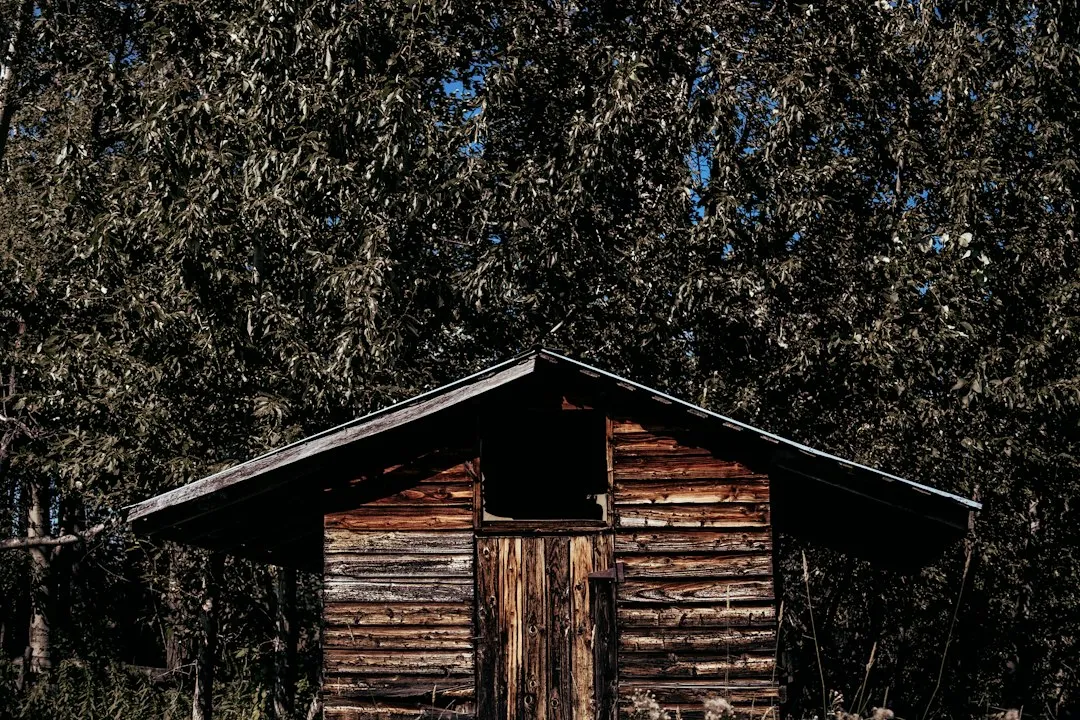 A Market That's Grown Far Beyond Storage (Image Credits: Unsplash)