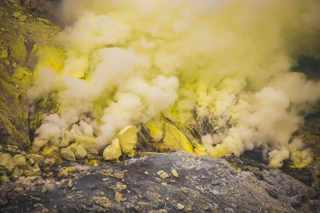 The Science of Alpha-Terthienyl: What Makes It Work Underground (Image Credits: Unsplash)