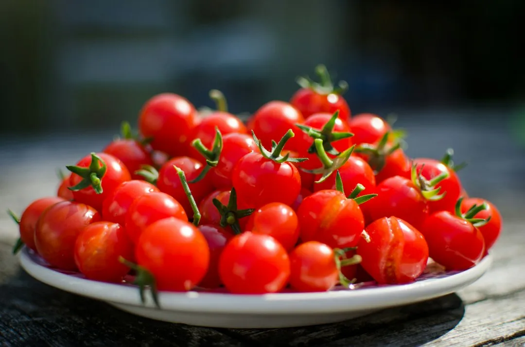 Not All Tomatoes Respond the Same Way (Image Credits: Unsplash)