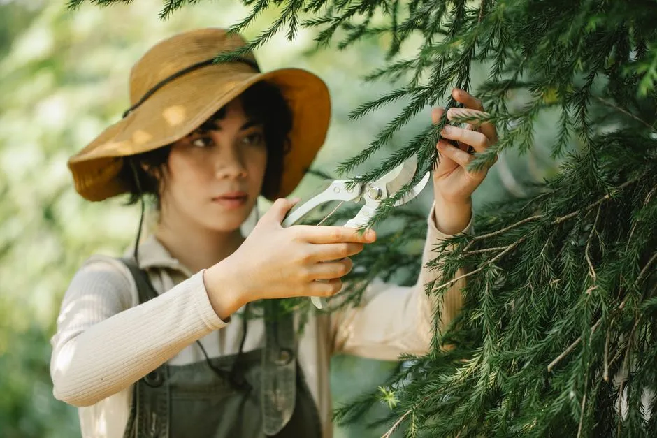 What Not to Prune in Mid-Summer (Image Credits: Pexels)