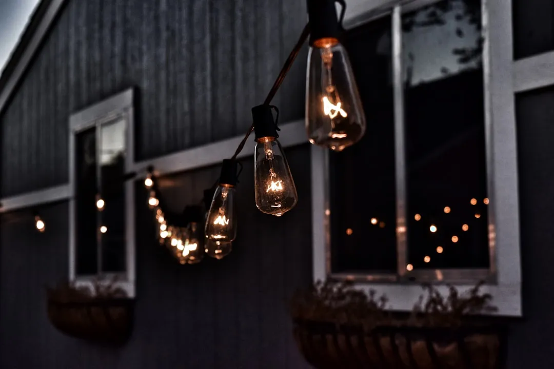 Outdoor Lights Face Unique Weathering Hazards (Image Credits: Unsplash)