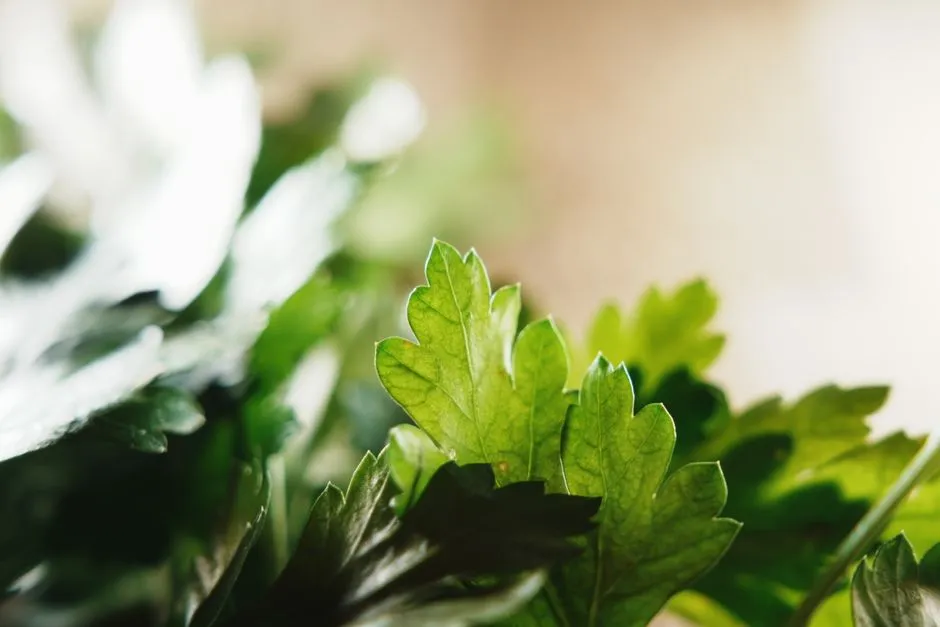 Simple Ways to Add These Foods to Your Routine (Image Credits: Pexels)