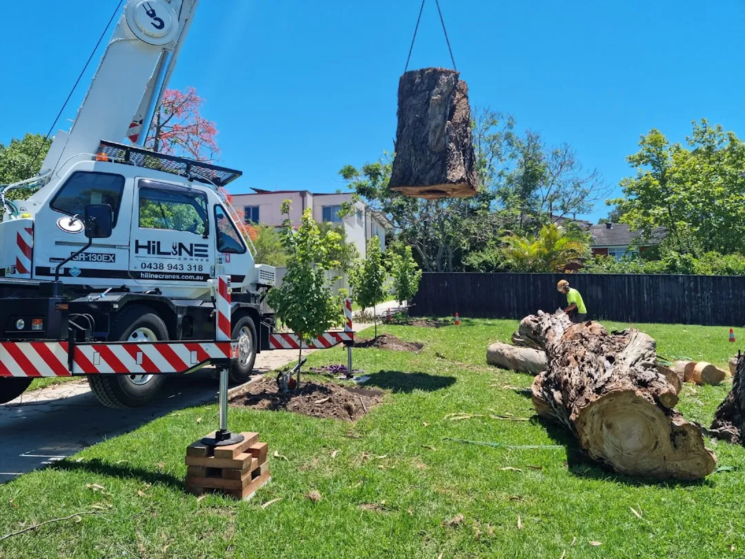 The Real Cost of Removing a Tree the Right Way (Image Credits: Unsplash)